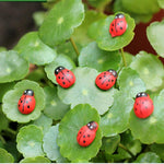 10 Pcs Garden Ornaments Lifelike Ladybug Faceplate Micro landscape Ladybird lady beetle Home Decor biedronka coccinelle Ladybug